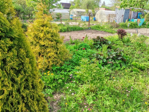 Купить дачу в Калуге. Вариант № 2037, 7, площадь -  квм, цена 875000 рублей