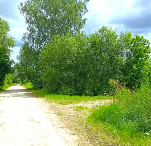 Купить земельный участок в Обнинске. Вариант № 11020, 5, площадь -  квм, цена 690000 рублей