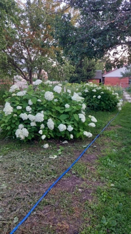 Купить дом в Рязанской области. Вариант № 10866117, 15, площадь - квм, цена 5590000 рублей