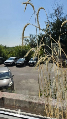 Снять квартиру в Нижнем Новгороде. Вариант № 5470363, 15, площадь -  квм, цена 37000 рублей