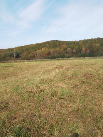 Купить дом на улице Центральная в Республике Башкортостан. Вариант № 38514, 18, площадь -  квм, цена 3500000 рублей