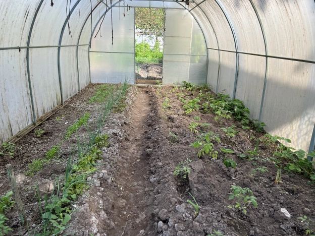 Купить дом на улице Ягодная в Калининграде. Вариант № 6304, 21, площадь -  квм, цена 6750000 рублей