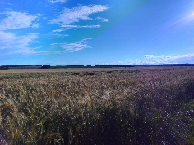 Купить земельный участок в Тульской области. Вариант № 3391, 0, площадь -  квм, цена 1250000 рублей