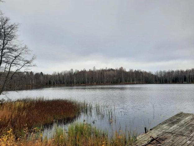 Купить земельный участок в Республике Карелия. Вариант № 14415, 17, площадь -  квм, цена 1000000 рублей