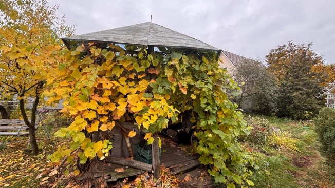 Купить дом в Микрорайоне Пролески, Старый Оскол в Старом Осколе. Вариант № 7848838, 23, площадь -  квм, цена 7200000 рублей