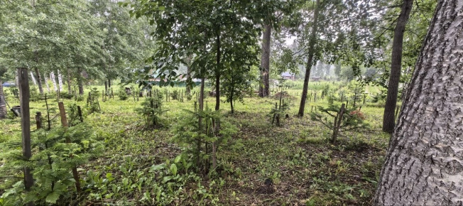 Купить земельный участок в Искитиме. Вариант № 60132, 5, площадь -  квм, цена 3547000 рублей