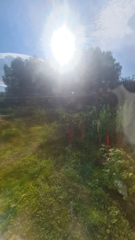 Купить квартиру на вторичке на улице Лесная в Алтайском крае. Вариант № 2137828, 32, площадь -  квм, цена 3300000 рублей