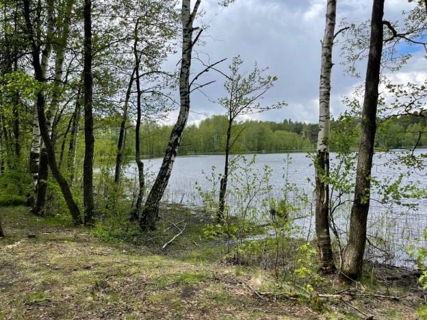 Купить земельный участок в Покрове. Вариант № 28968, 2, площадь -  квм, цена 21500000 рублей