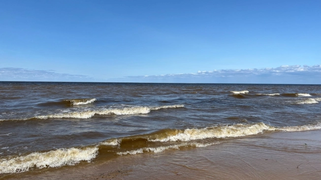 Купить земельный участок в Ярославской области. Вариант № 1794652, 2, площадь -  квм, цена 1424400 рублей