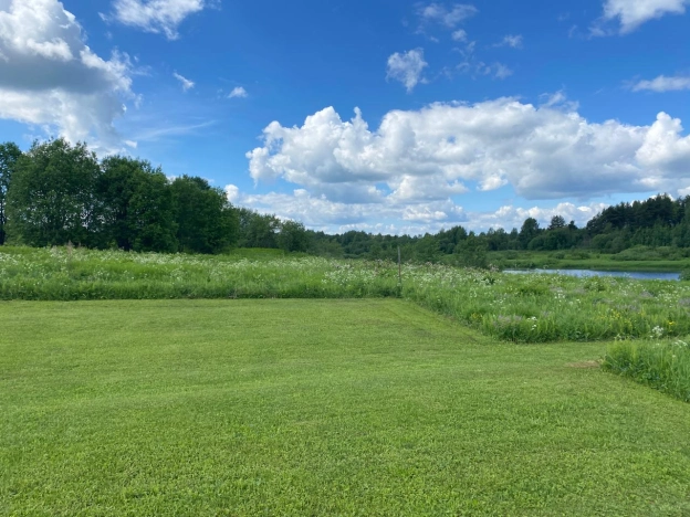 Купить земельный участок в Вологодской области. Вариант № 8738, 5, площадь -  квм, цена 420000 рублей