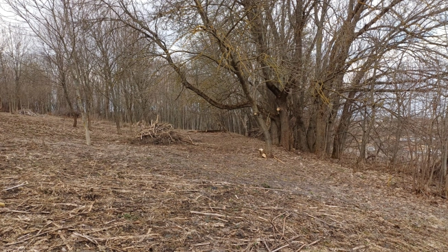 Купить земельный участок в Туле. Вариант № 21295, 3, площадь -  квм, цена 3200000 рублей