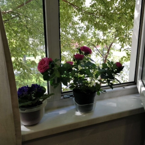 . Вариант № 8518132, 11, площадь - 62 квм, цена 7500000 рублей