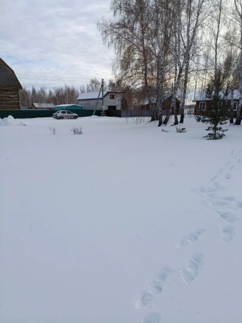 Купить земельный участок в Новосибирске. Вариант № 9871054, 2, площадь -  квм, цена 550000 рублей