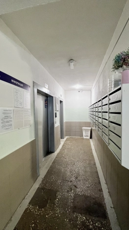 Купить однокомнатную квартиру в районе Орехово-Борисово Южное в Москве. Вариант № 7651726, 23, площадь -  квм, цена 10300000 рублей