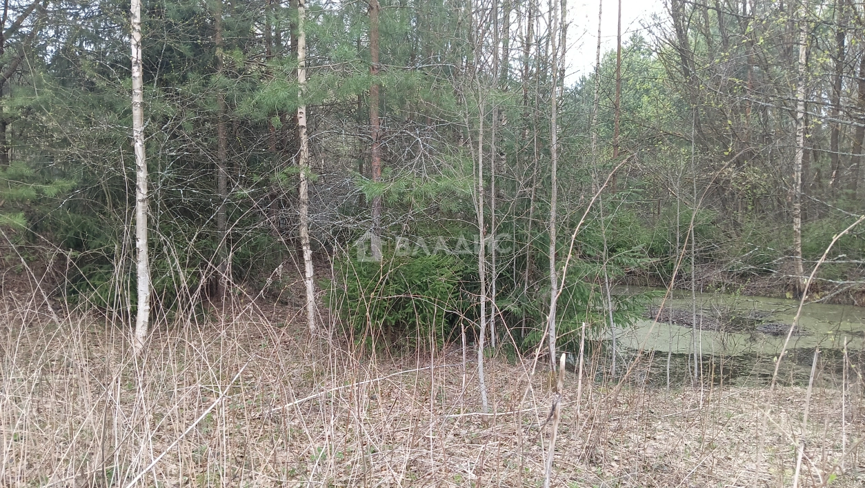 Photo https://36000382-a1c2-4a8a-a109-3fc3bfc73cf7.selcdn.net/App/Entity/ObjectRealty/ObjectRealty/WF/f12f0a9b-2ecb-43b0-bf2d-a57af4acd1e8/g2wMnhTxjW2UEVerlUOcsvkVeV5xBQYaYLtk0R0h.jpg.compressed.webp