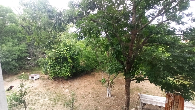 Купить дом в Краснодарском крае. Вариант № 9702202, 9, площадь -  квм, цена 10999000 рублей