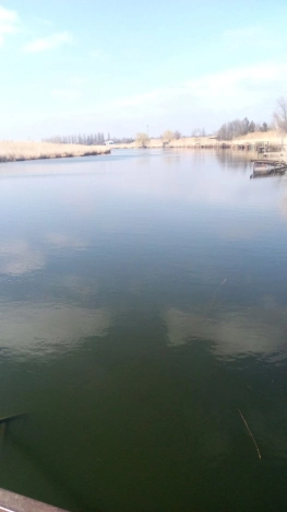 Купить дом в Азове. Вариант № 1754085, 12, площадь -  квм, цена 3350000 рублей