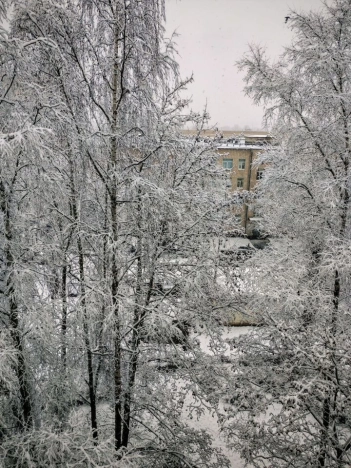 Купить квартиру на улице Невский проспект в Санкт-Петербурге. Вариант № 10926731, 19, площадь - квм, цена 9800000 рублей