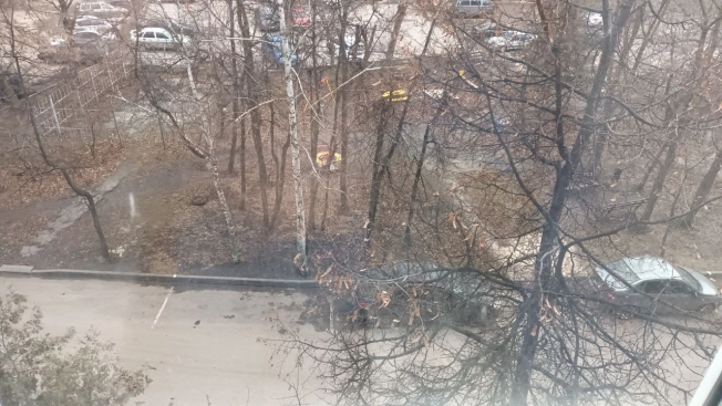 Купить двухкомнатную квартиру на вторичке в Пензенской области. Вариант № 10004443, 7, площадь -  квм, цена 4500000 рублей