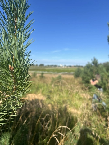 Купить земельный участок в Коврове. Вариант № 3346621, 1, площадь -  квм, цена 10105200 рублей