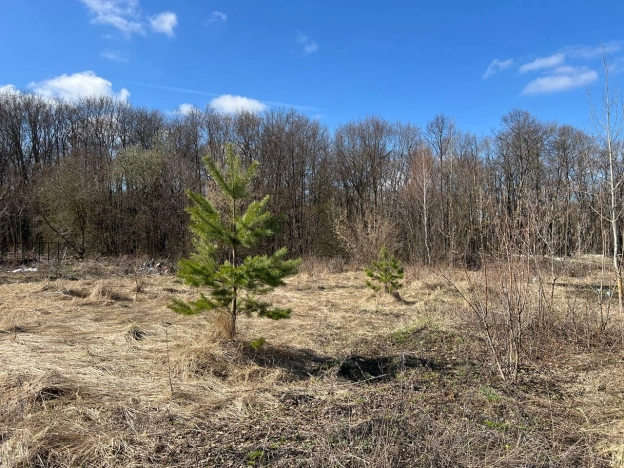 Купить земельный участок на улице 2-й проезд Добролюбова в Пензе. Вариант № 36135, 0, площадь -  квм, цена 4000000 рублей