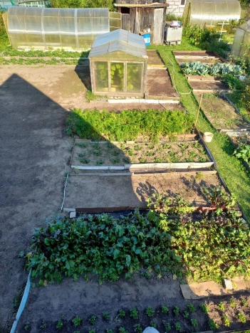 Купить дачу в Коврове. Вариант № 31817, 6, площадь -  квм, цена 760000 рублей