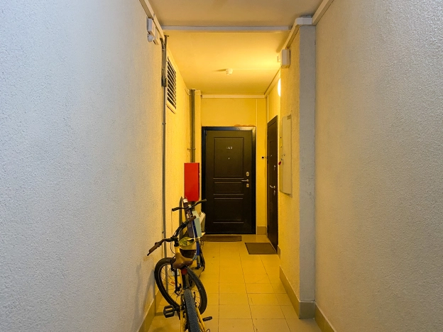 Купить трехкомнатную квартиру в Санкт-Петербурге. Вариант № 1980771, 22, площадь -  квм, цена 18900000 рублей