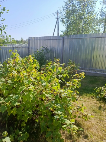 Купить дом в Петрозаводске. Вариант № 9279769, 43, площадь -  квм, цена 10800000 рублей