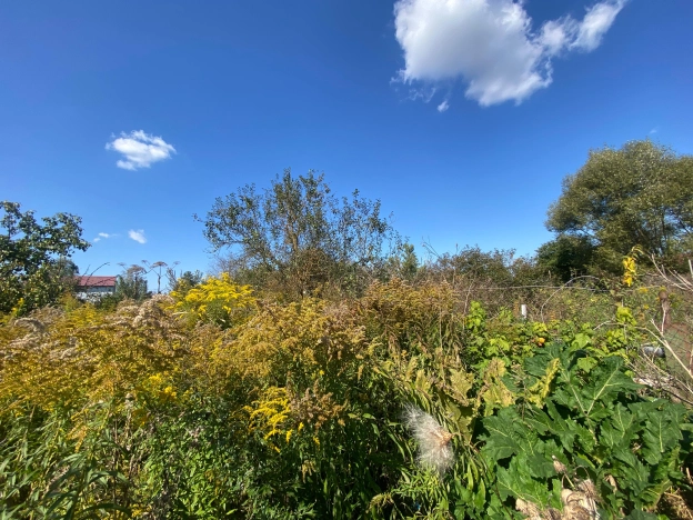 Купить дом на улице Садовая в Тульской области. Вариант № 4842531, 5, площадь -  квм, цена 1075000 рублей