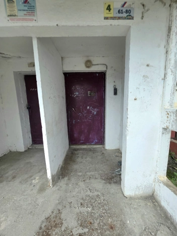 Купить однокомнатную квартиру в Южно-Сахалинске. Вариант № 699837, 13, площадь -  квм, цена 7600000 рублей