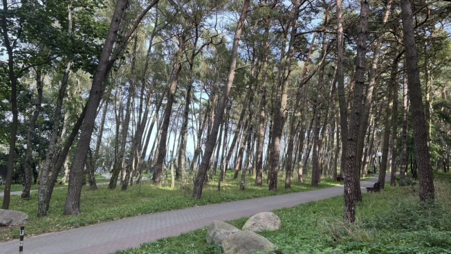 Купить Студию в Калининградской области. Вариант № 9960926, 14, площадь -  квм, цена 5750000 рублей