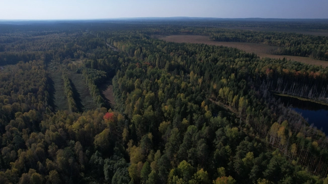 Купить земельный участок в Республике Карелия. Вариант № 13851, 11, площадь -  квм, цена 6000000 рублей