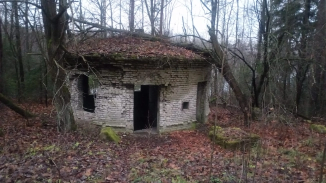 Купить земельный участок на улице Гоголя в Всеволожске. Вариант № 17441, 17, площадь -  квм, цена 81000000 рублей