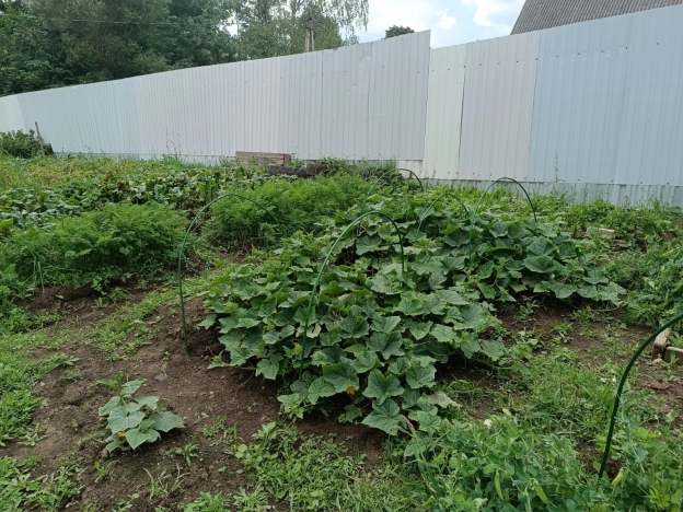 Купить дом в Микрорайоне Гнёздово в Смоленске. Вариант № 2769, 20, площадь -  квм, цена 8000000 рублей