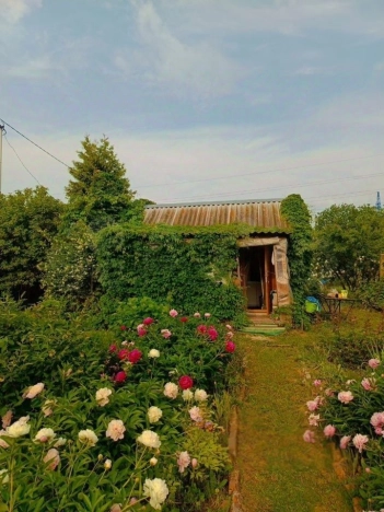 Купить дом в Москве. Вариант № 9581514, 4, площадь - квм, цена 1600000 рублей