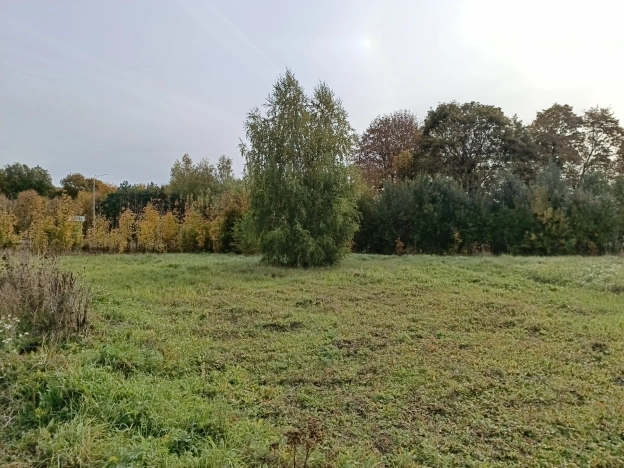 Купить земельный участок в Рязани. Вариант № 6904962, 5, площадь -  квм, цена 1650000 рублей