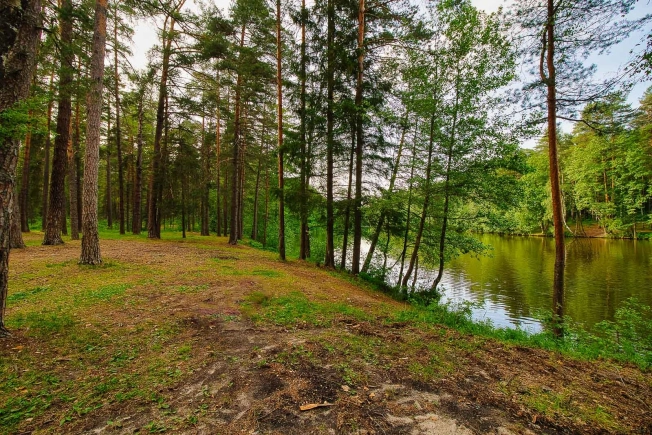 Купить дачу в Владимирской области. Вариант № 8474500, 19, площадь -  квм, цена 1000000 рублей