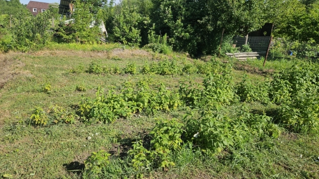 Купить земельный участок в Арсеньеве. Вариант № 59815, 18, площадь -  квм, цена 1050000 рублей