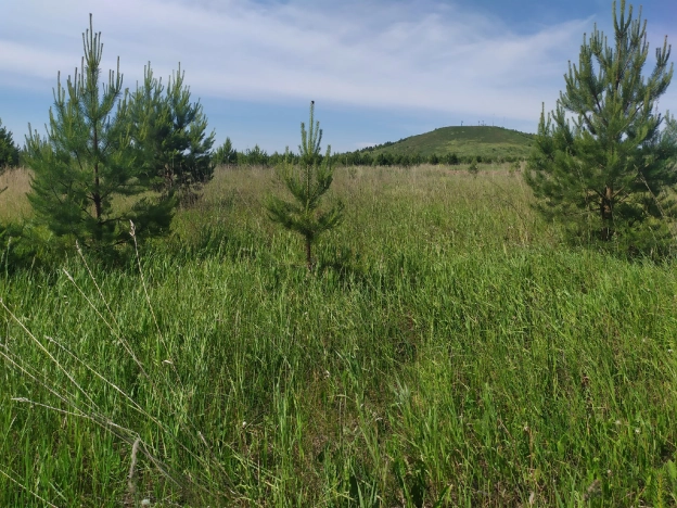 . Вариант № 529, 1, площадь -  квм, цена 1342900 рублей