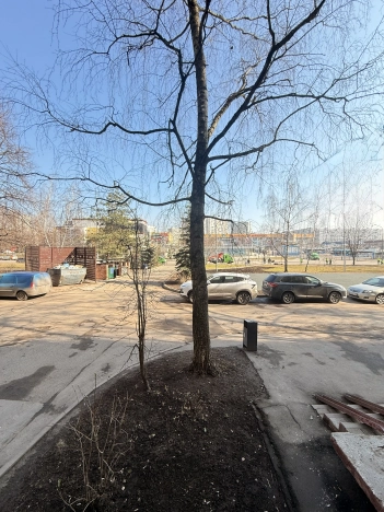 Купить квартиру в СВАО в Москве. Вариант № 6716618, 4, площадь -  квм, цена 20500000 рублей