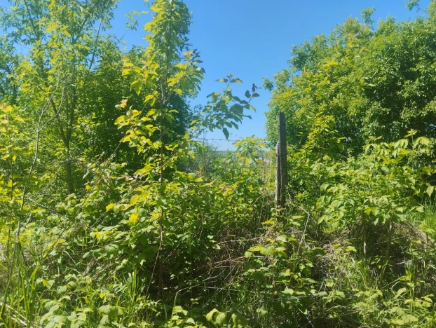 Купить земельный участок в Пензе. Вариант № 8397, 0, площадь -  квм, цена 1700000 рублей