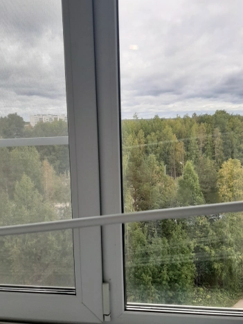 Купить двухкомнатную квартиру в Сыктывкаре. Вариант № 4121390, 16, площадь -  квм, цена 6500000 рублей