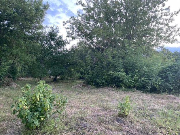 Купить земельный участок в Воронеже. Вариант № 432626, 7, площадь -  квм, цена 1749000 рублей