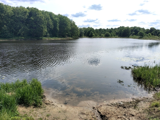 Купить дом в Судогде. Вариант № 48353, 14, площадь -  квм, цена 3670000 рублей