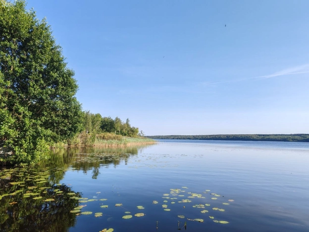 Купить земельный участок у метро Рыбацкое в Ленинградской области. Вариант № 8999, 4, площадь -  квм, цена 25000000 рублей