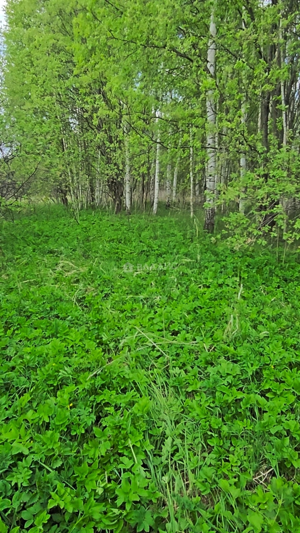 Photo https://36000382-a1c2-4a8a-a109-3fc3bfc73cf7.selcdn.net/App/Entity/ObjectRealty/ObjectRealty/WL/0622fe0d-5641-4a2c-9282-234f1711ff10/5eAP1M1fIJ1qWQmwK7ZhZQcX2nGlWtJucKQQdb61.jpg.compressed.webp