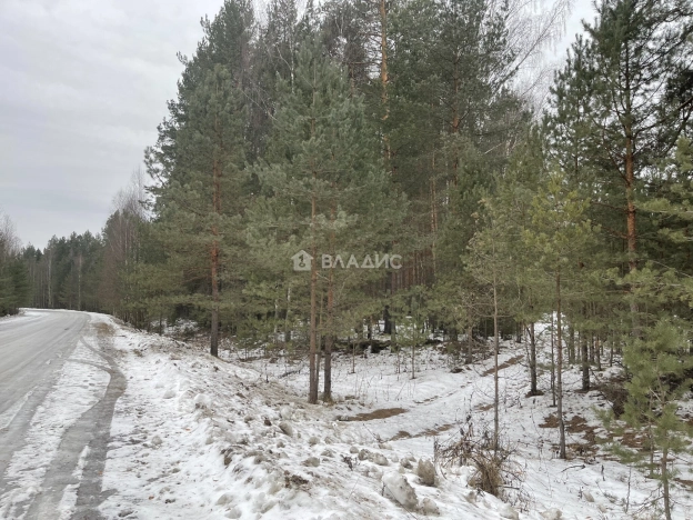 Купить земельный участок в Коврове. Вариант № 22890, 17, площадь -  квм, цена 350000 рублей