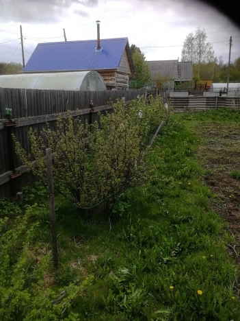 Купить дачу в Тюменской области. Вариант № 1047, 8, площадь -  квм, цена 850000 рублей