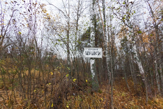 Купить земельный участок в Республике Карелия. Вариант № 10702, 8, площадь -  квм, цена 990000 рублей