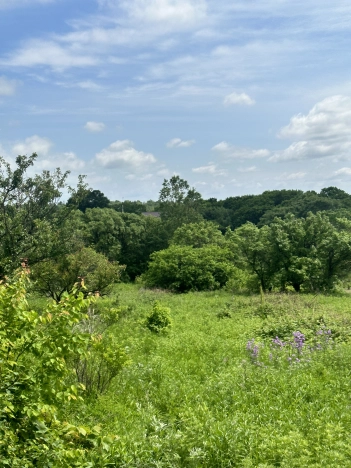 Купить земельный участок на улице Калугина в Уссурийске. Вариант № 8031, 1, площадь -  квм, цена 700000 рублей